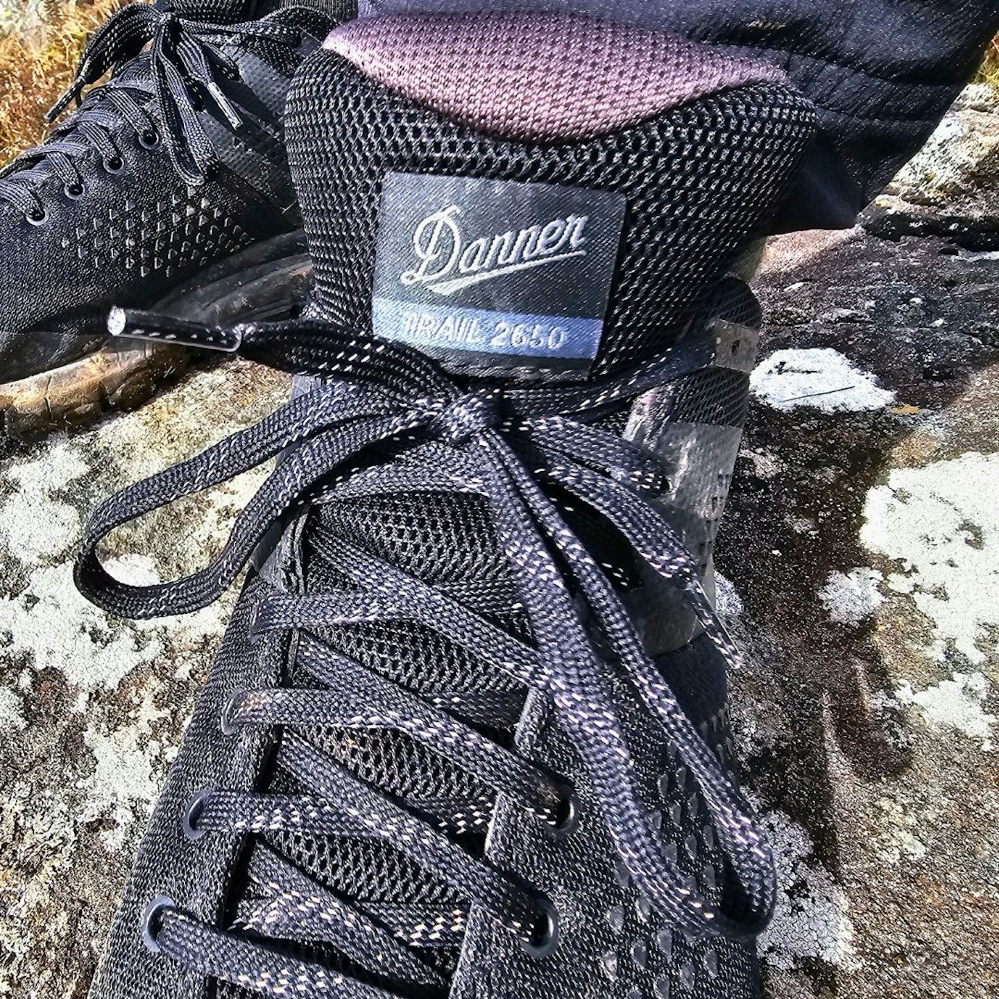 Danner Trail 2650 GTX lacing