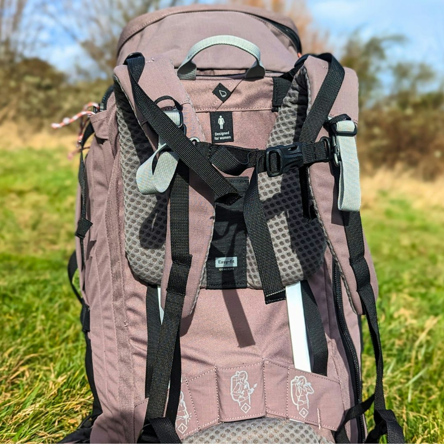 Decathlon Forclaz Women's Travel 900 60+6L Backpack back system