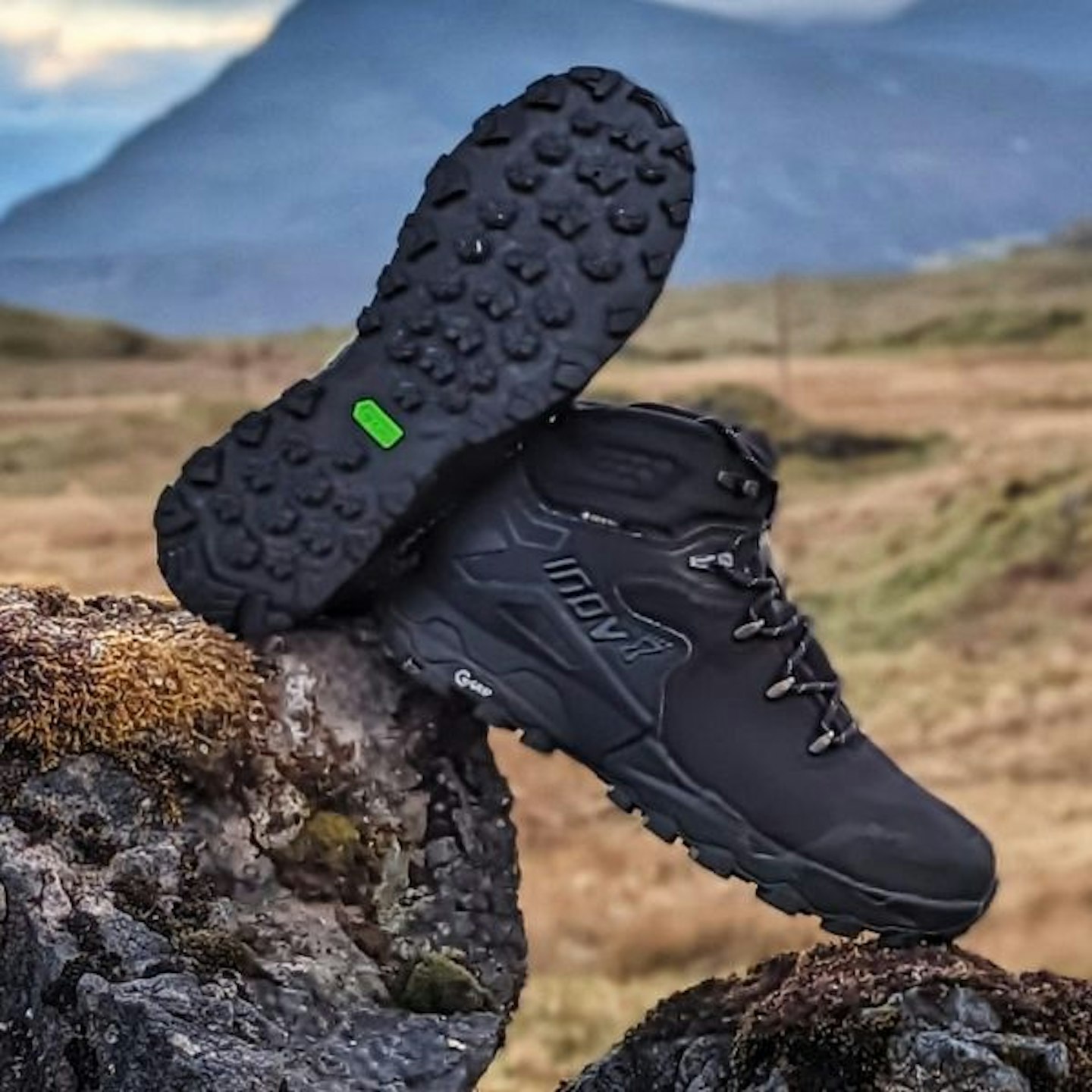 Inov-8 Roclite Pro G 400 GTX V2