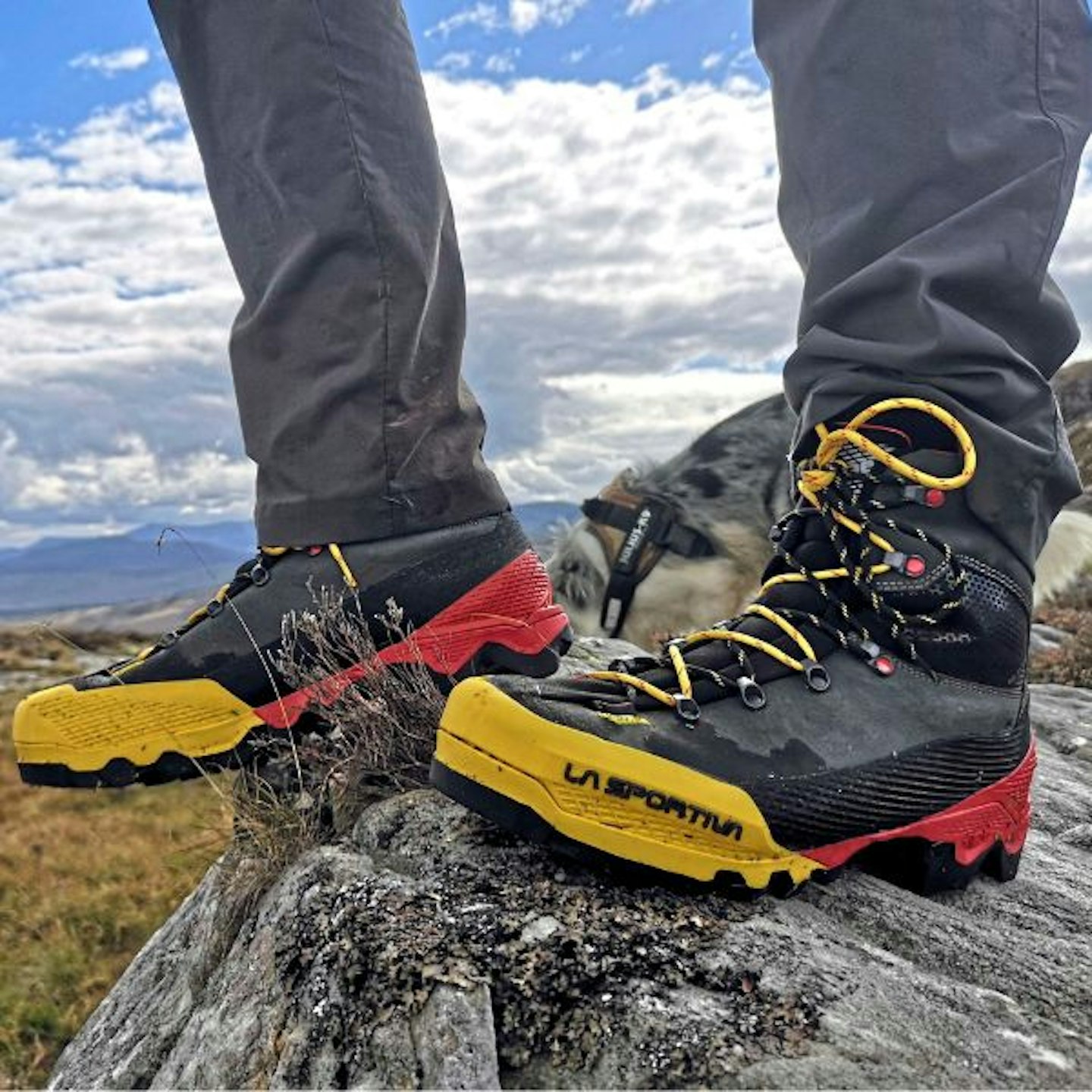 La Sportiva Aequilibrium LT GTX