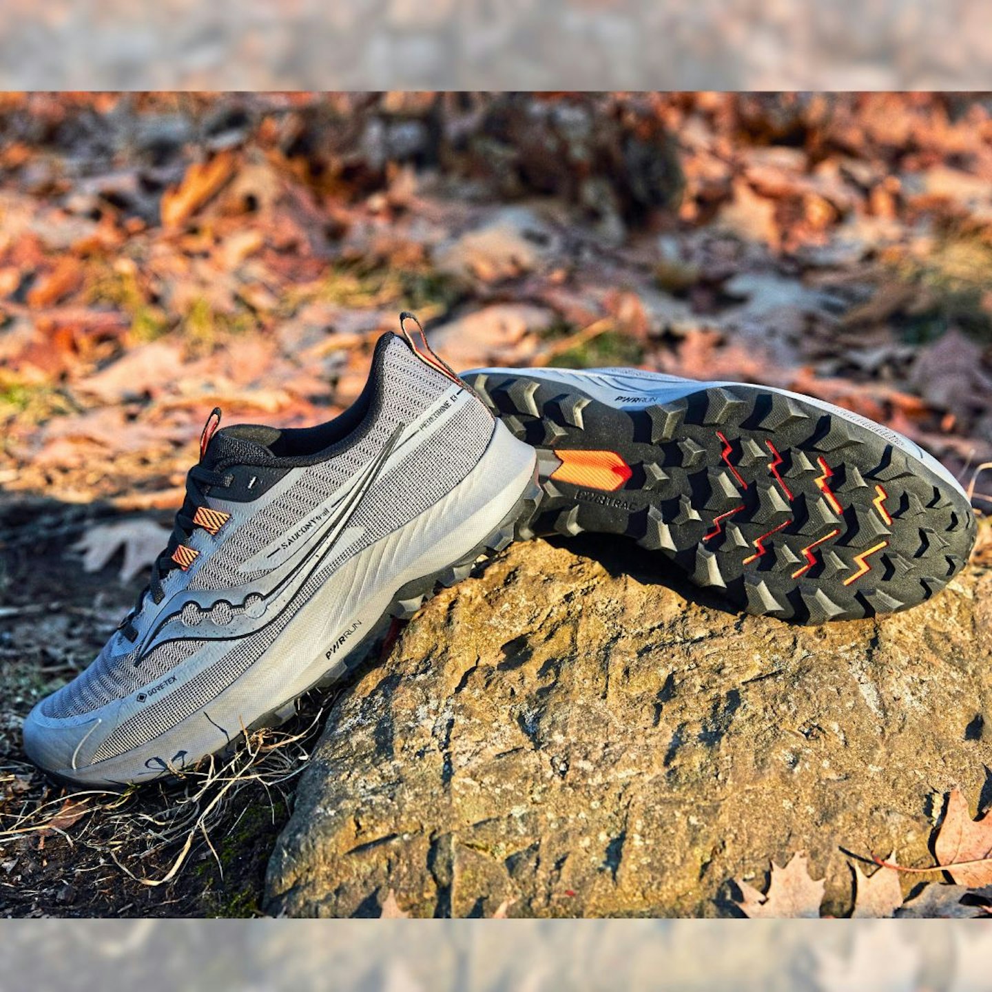 Profile shot of Saucony Peregrine 13 GTX on a rock