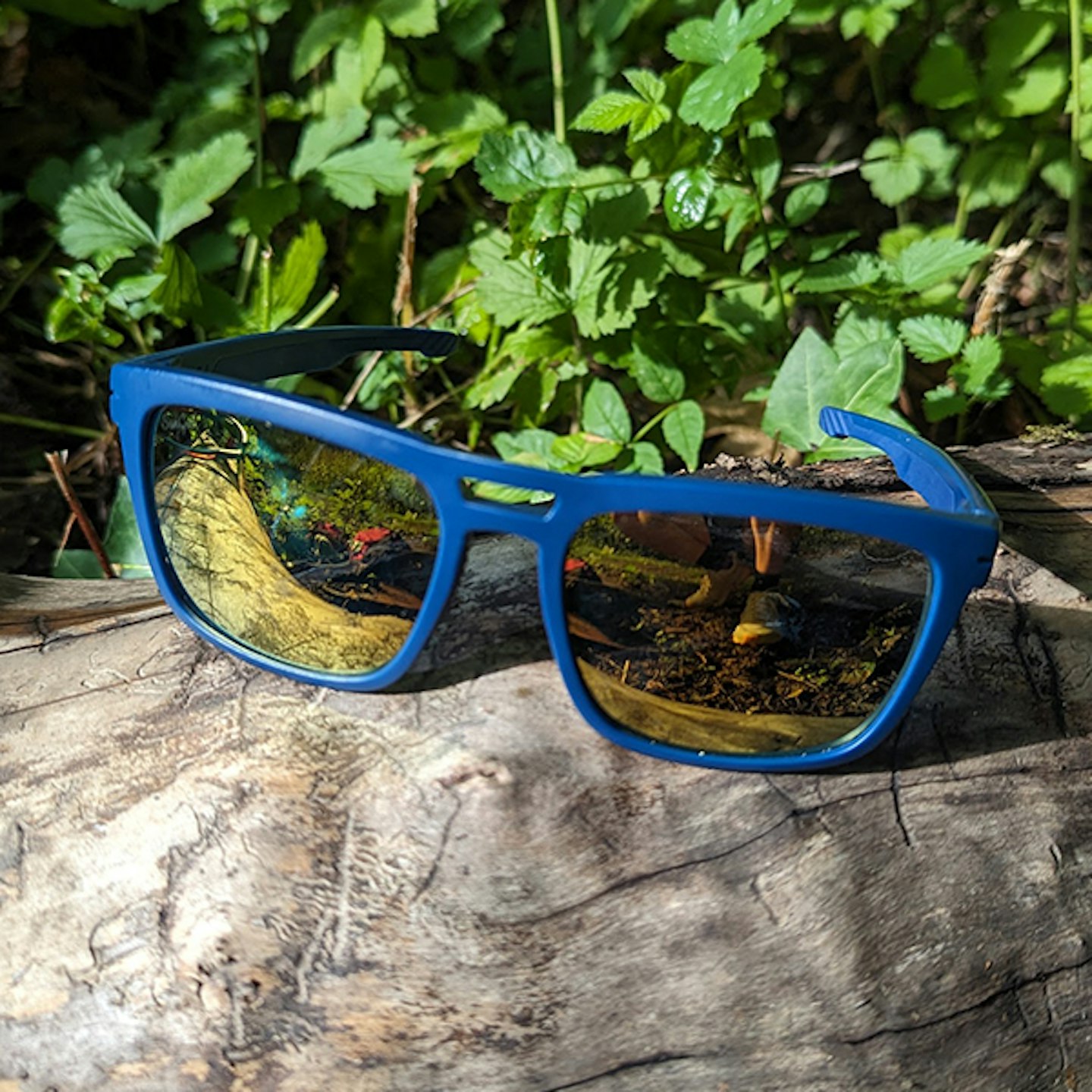 Sungod Tempest sunglasses for running and hiking at love trails