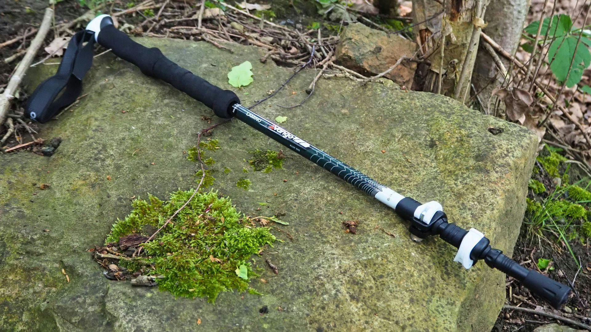 Best value trekking pole hotsell