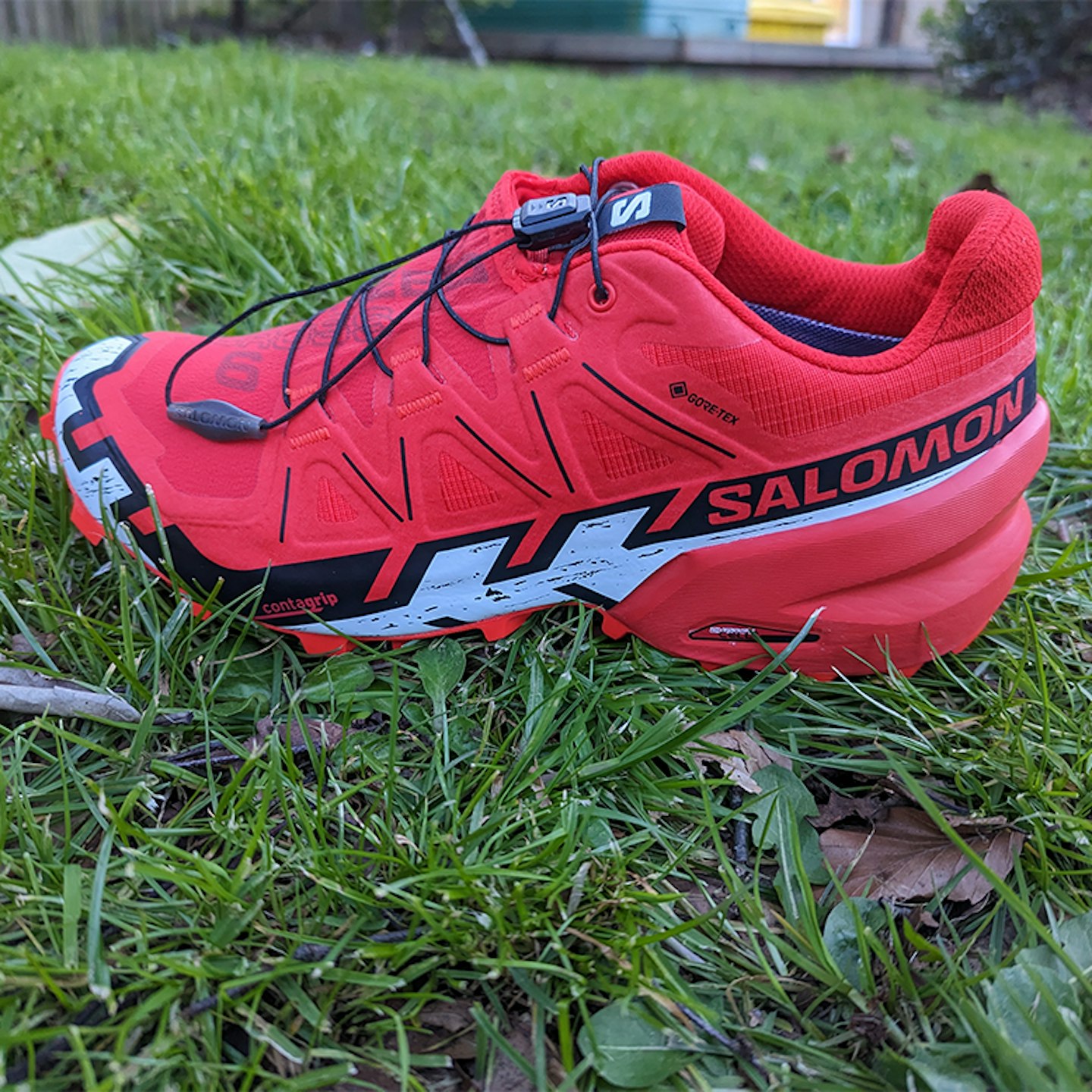 salomon speedcross 6