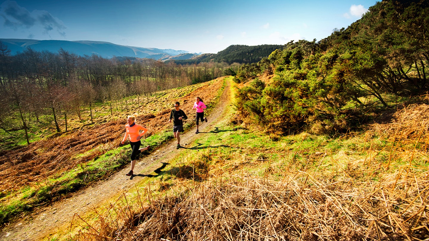 three runners half marathon training on a path