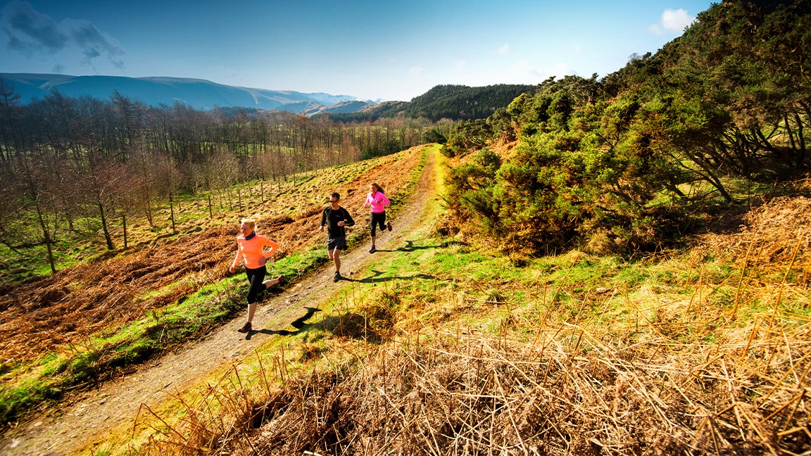 three runners half marathon training on a path