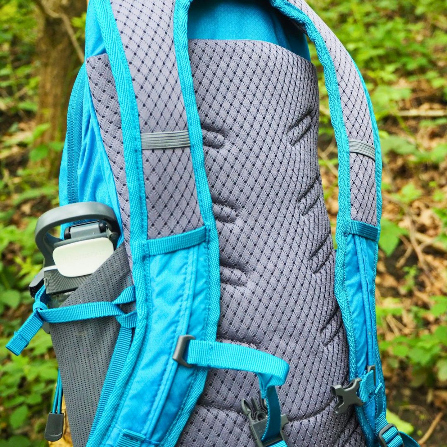 Vango Apex 20 back panel