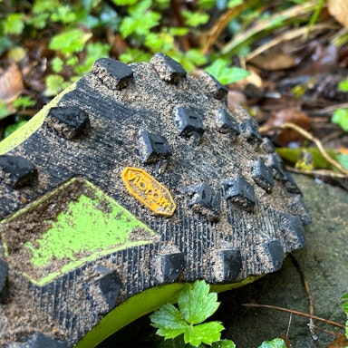 best fell running shoes