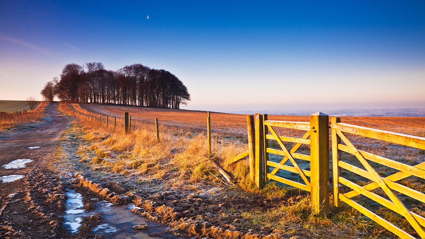 frosty trails