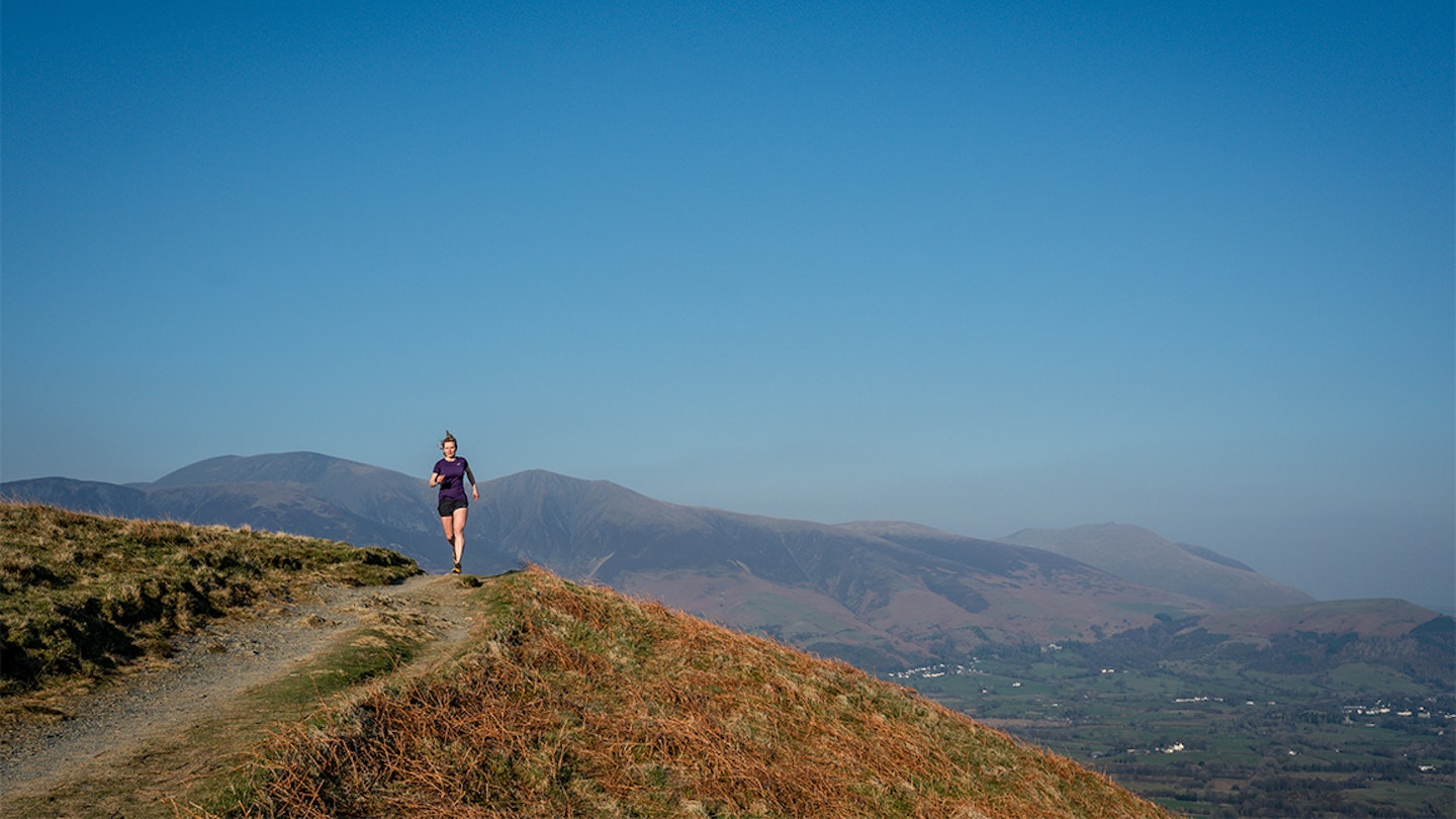 Grizedale Pike