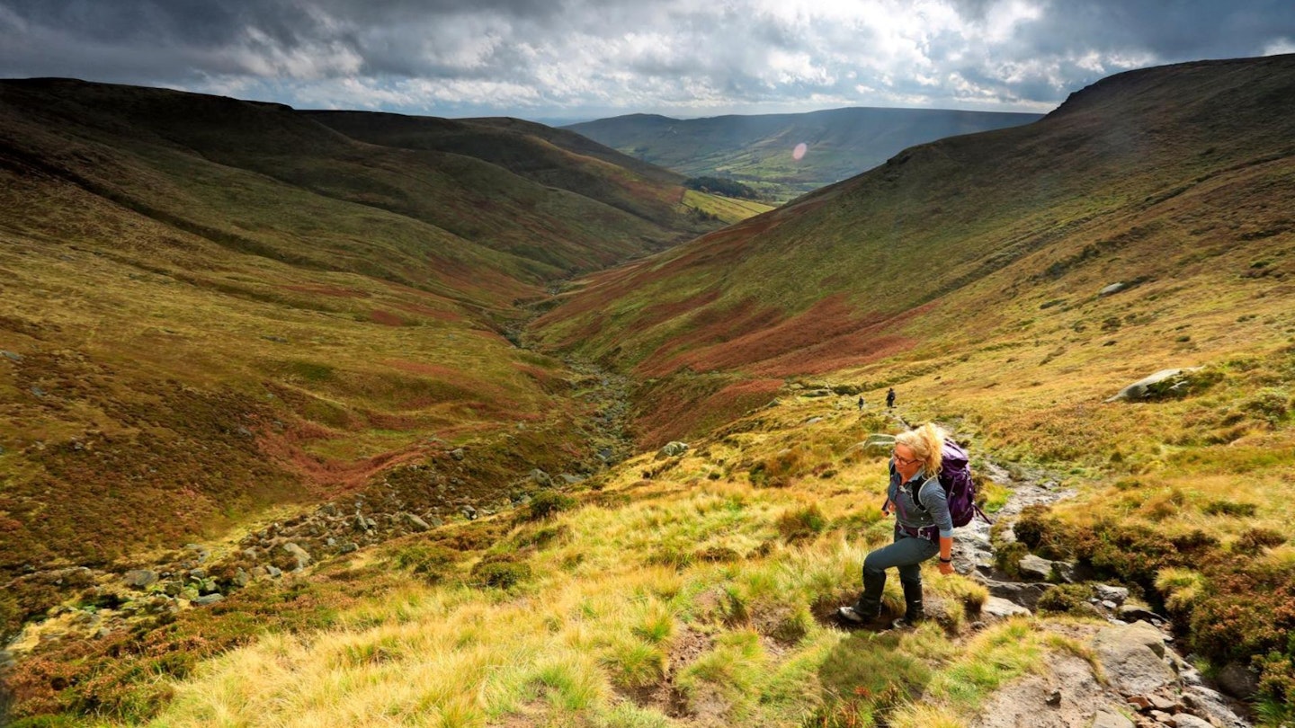 Walker high up Crowden Clough near to Kinder Scout National Nature Reserve Plateau The Peak District Moorland