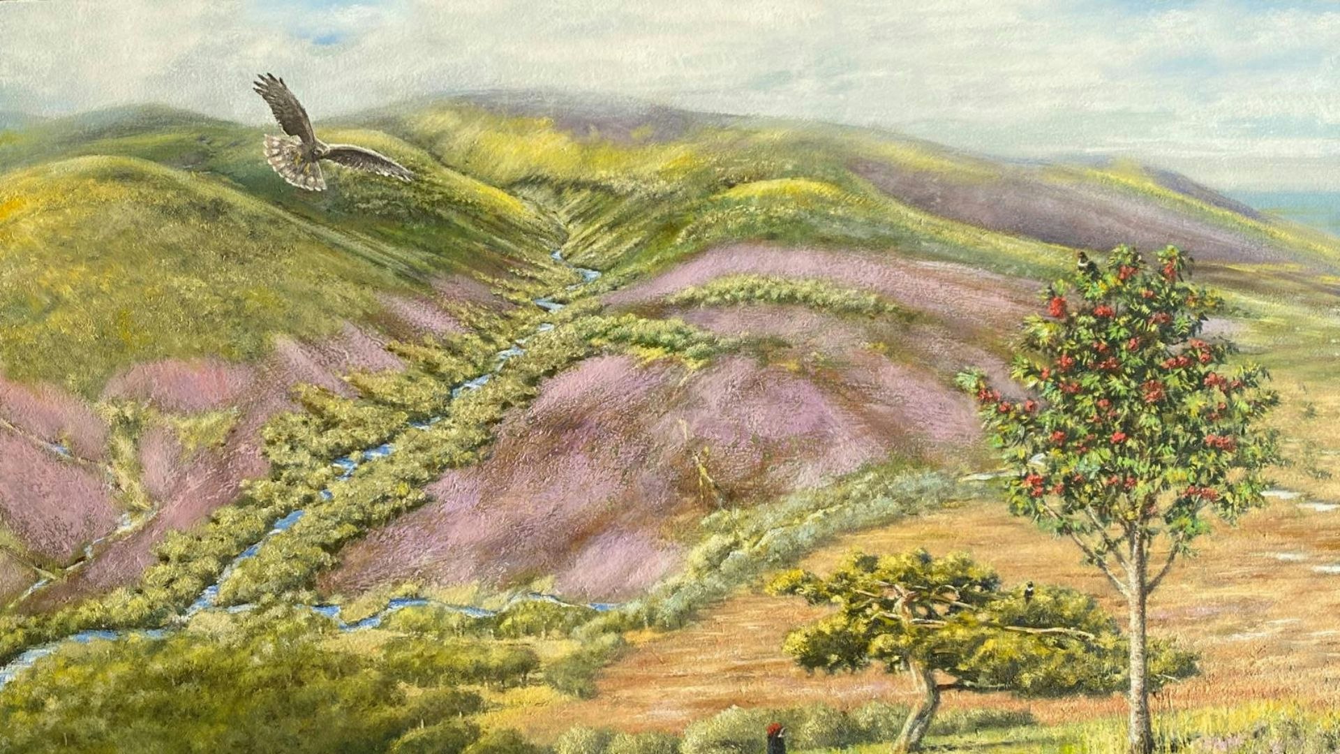 Skiddaw Forest rewilding project
