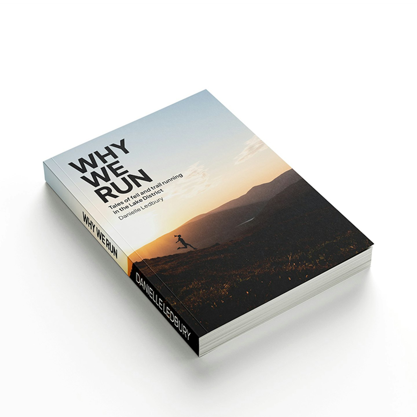 Why We Run book cover
