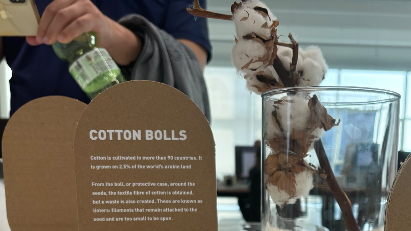 Cotton bolls at UYN AREAS tour