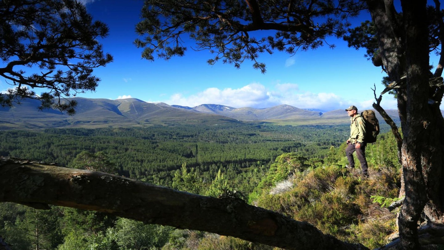 Views across to the Cairngorm plateau on the ascent of Meall a’ Bhuachaille