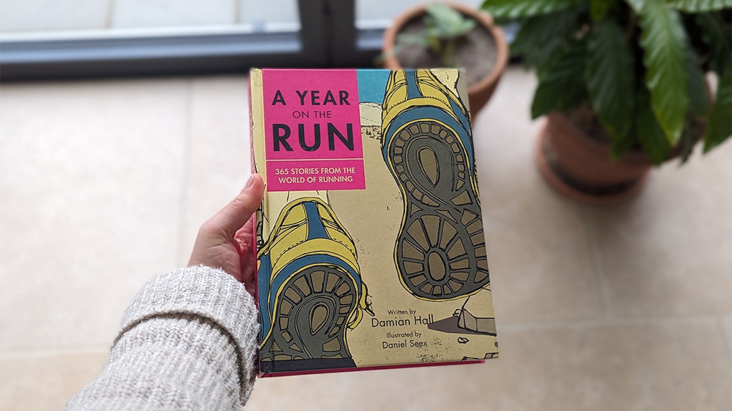 a year on the run by damian hall