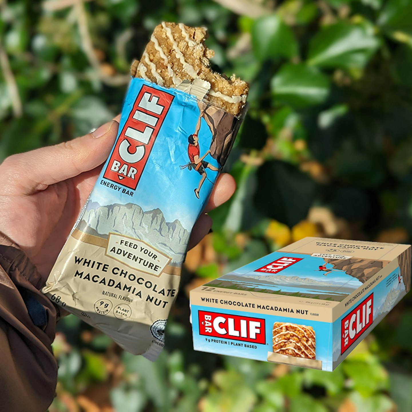 clif protein bar pack of 12