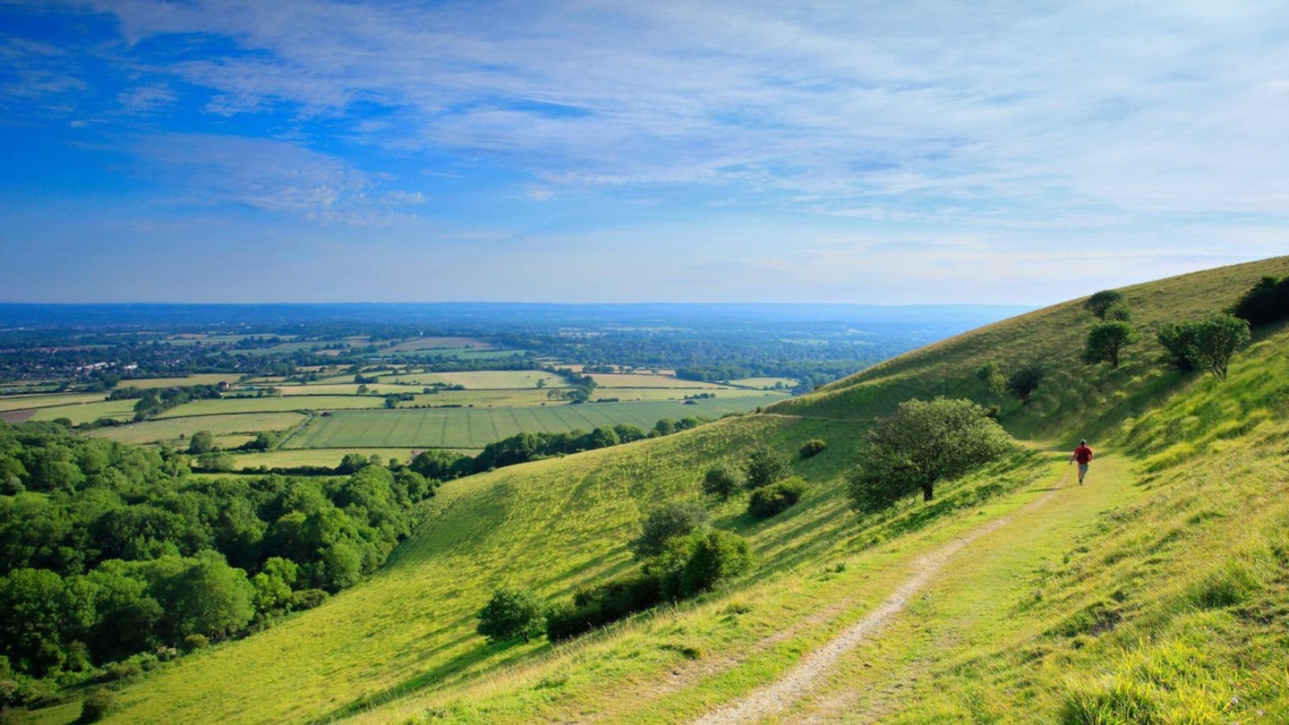 South Downs Way countryside