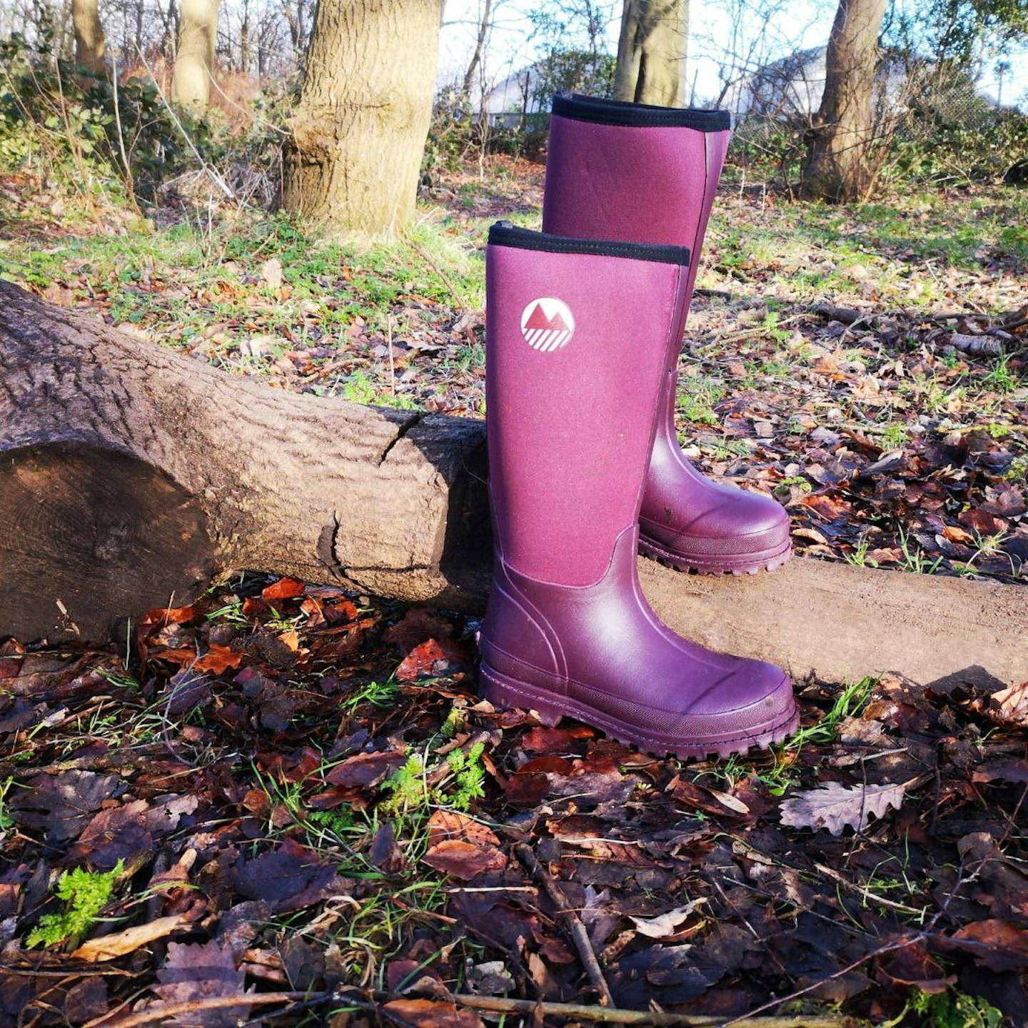 a pair of Women's rydal boots in the woods