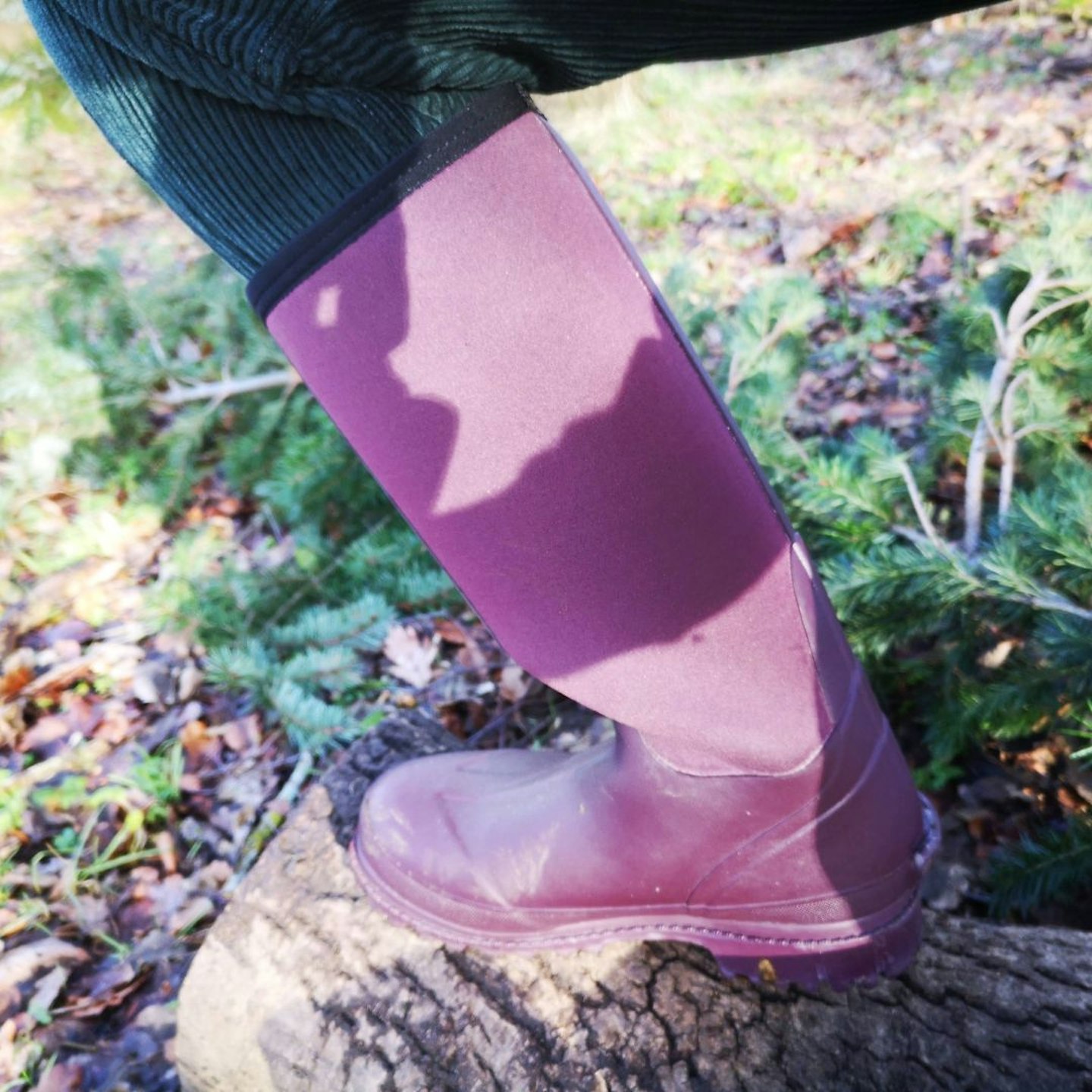 the flexibility of Women's rydal boots