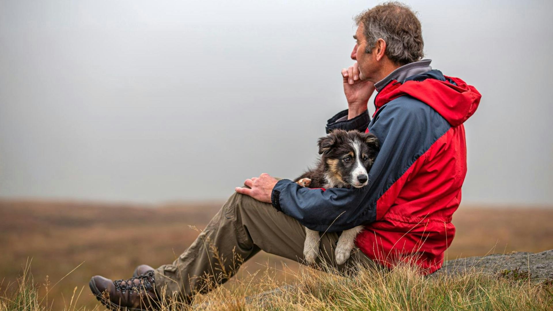 very cute collie pup shelters on a man