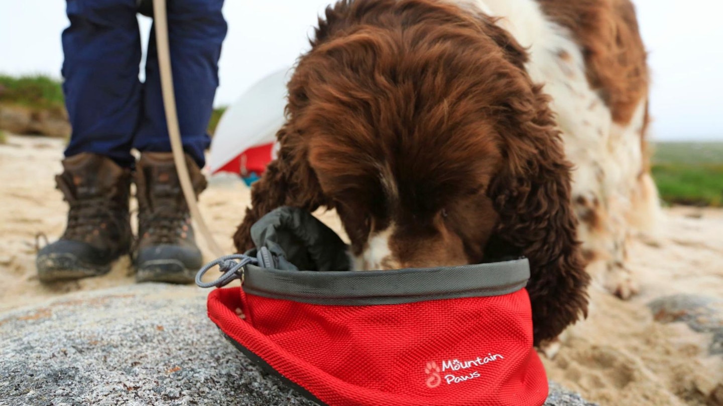 schlopschlopschlop (dog drinking from a portable dog bowl)