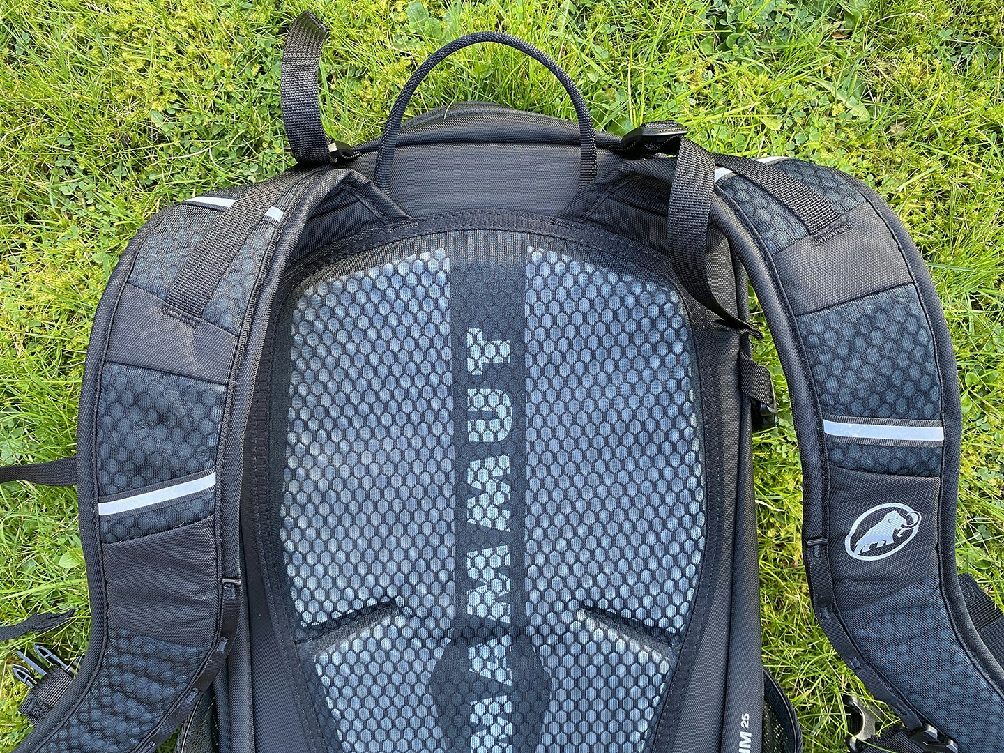 Mammut Lithium 25 back panel