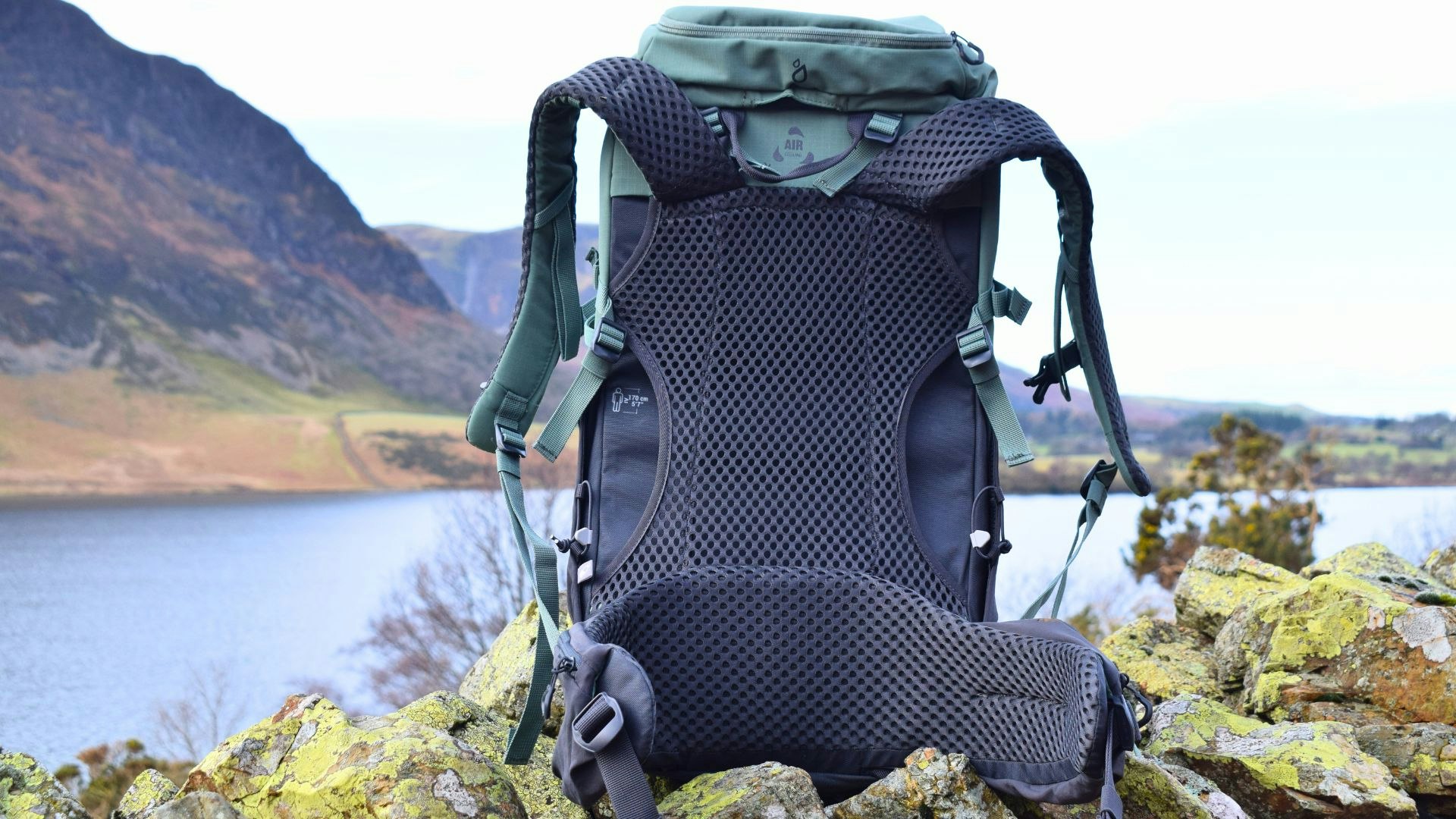 Decathlon Quechua Mountain Walking 30L Backpack MH500 back panel