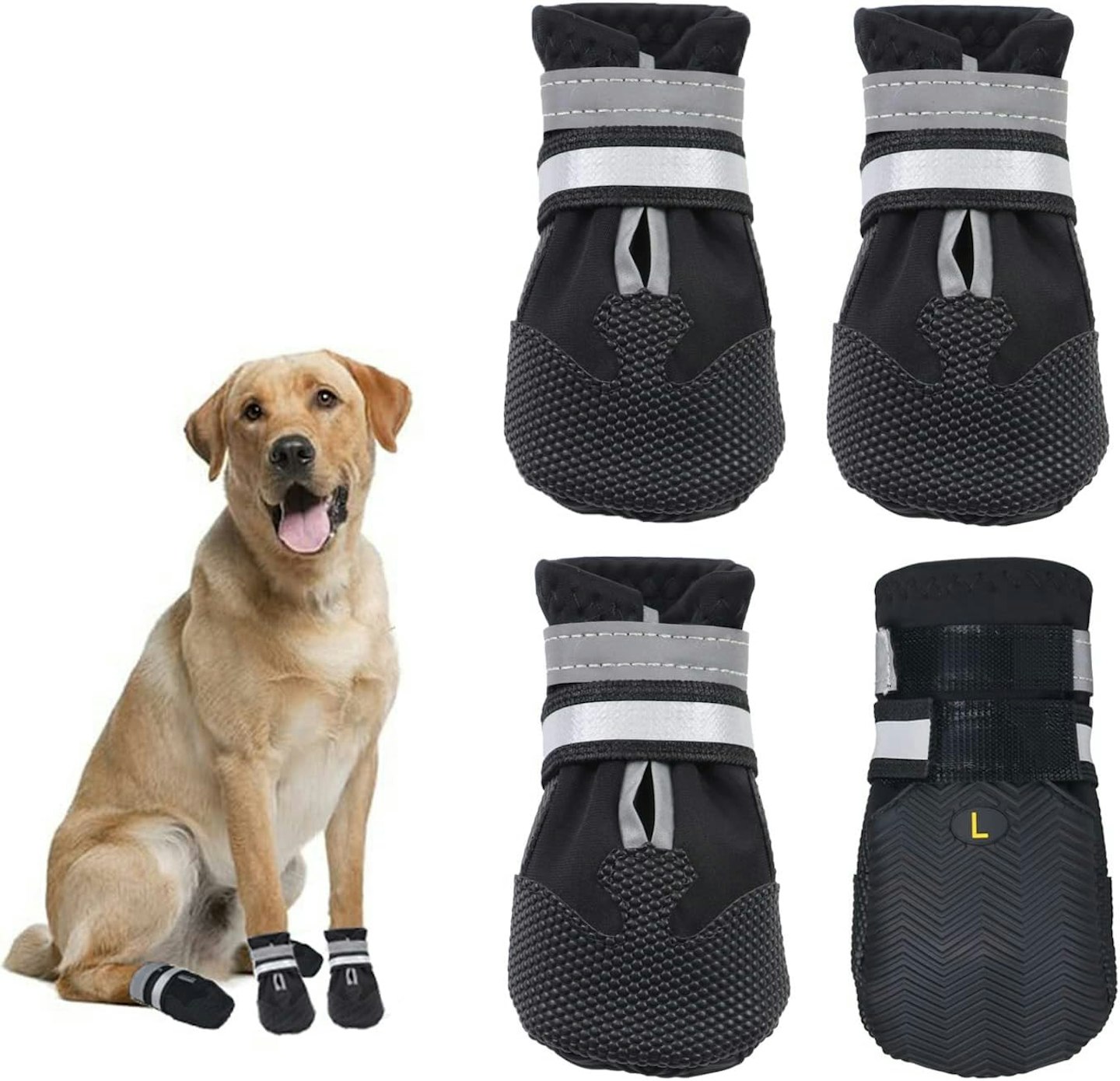 product card for dog shoes