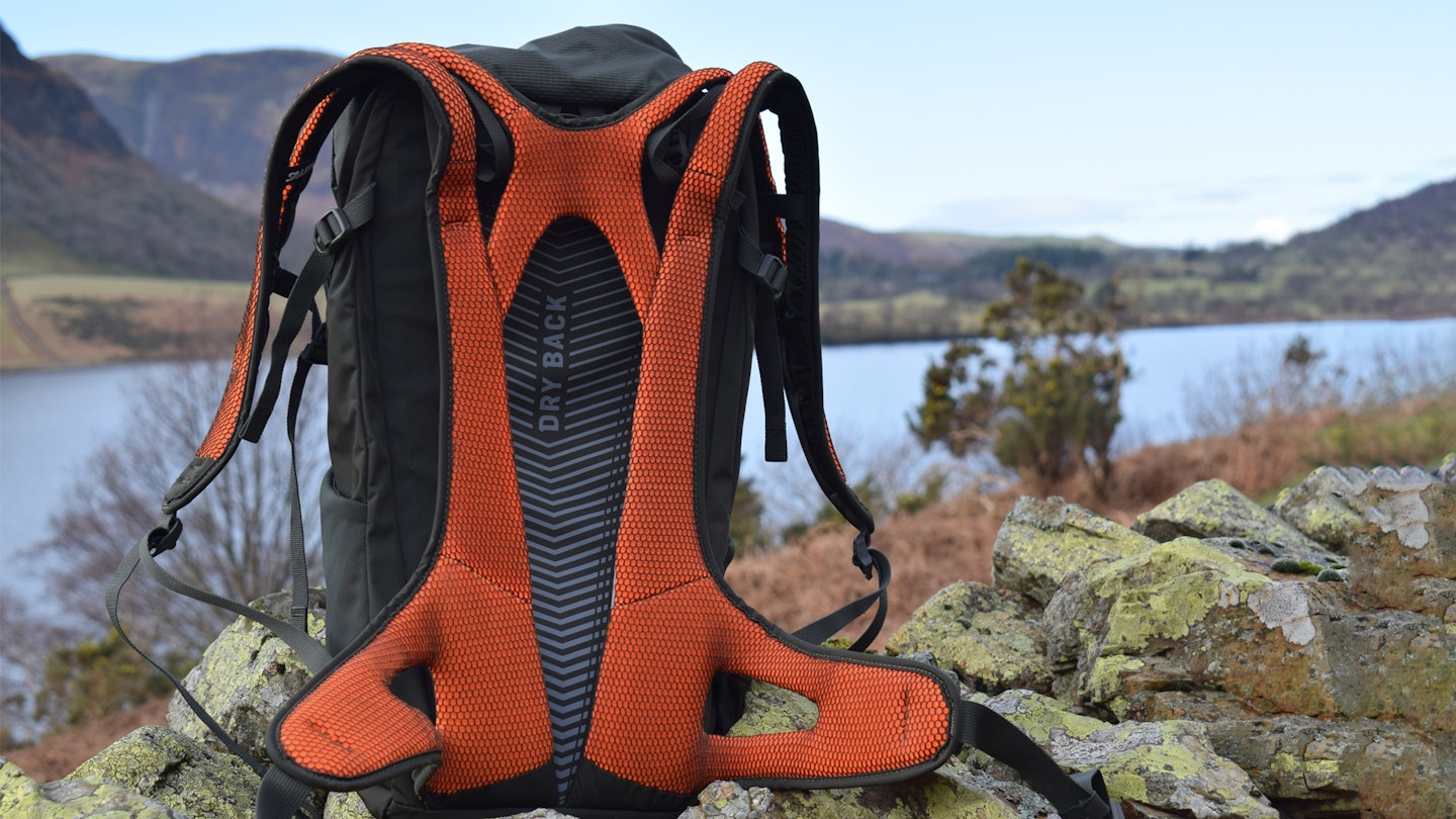 full back system and padding on the Salewa Alp Mate 26 backpack