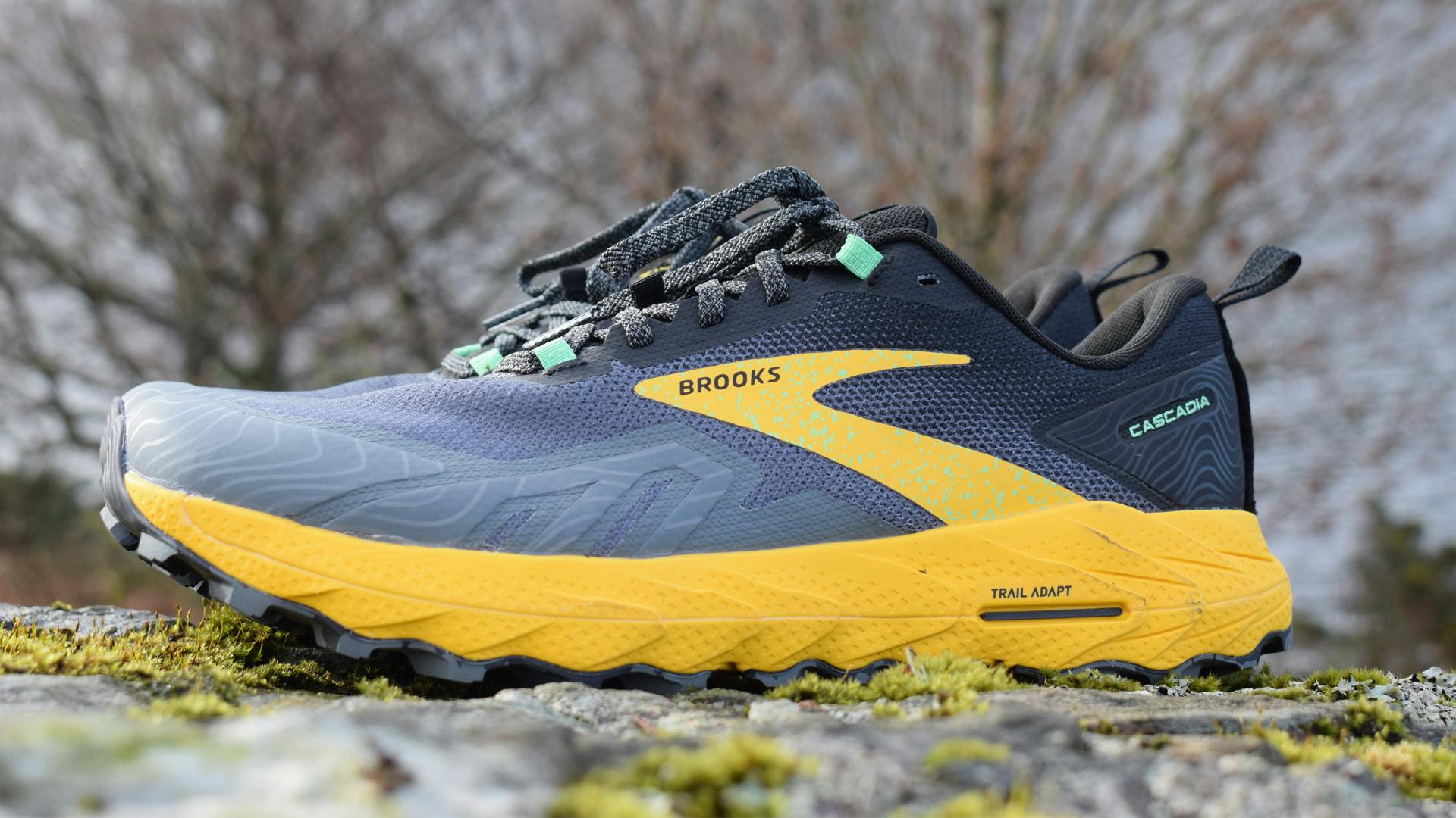 Brooks running hot sale cascadia