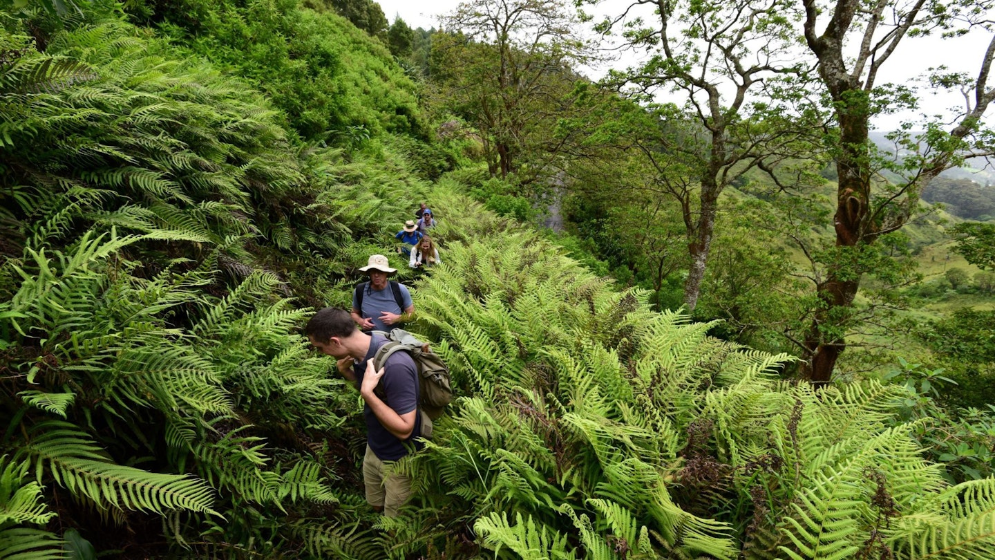 St Helena walking festival 1