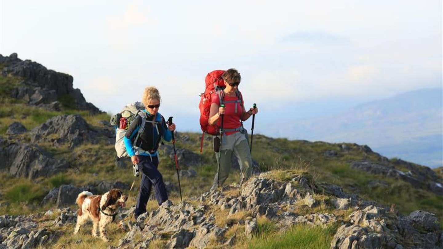 Two women and a dog hike across a summit