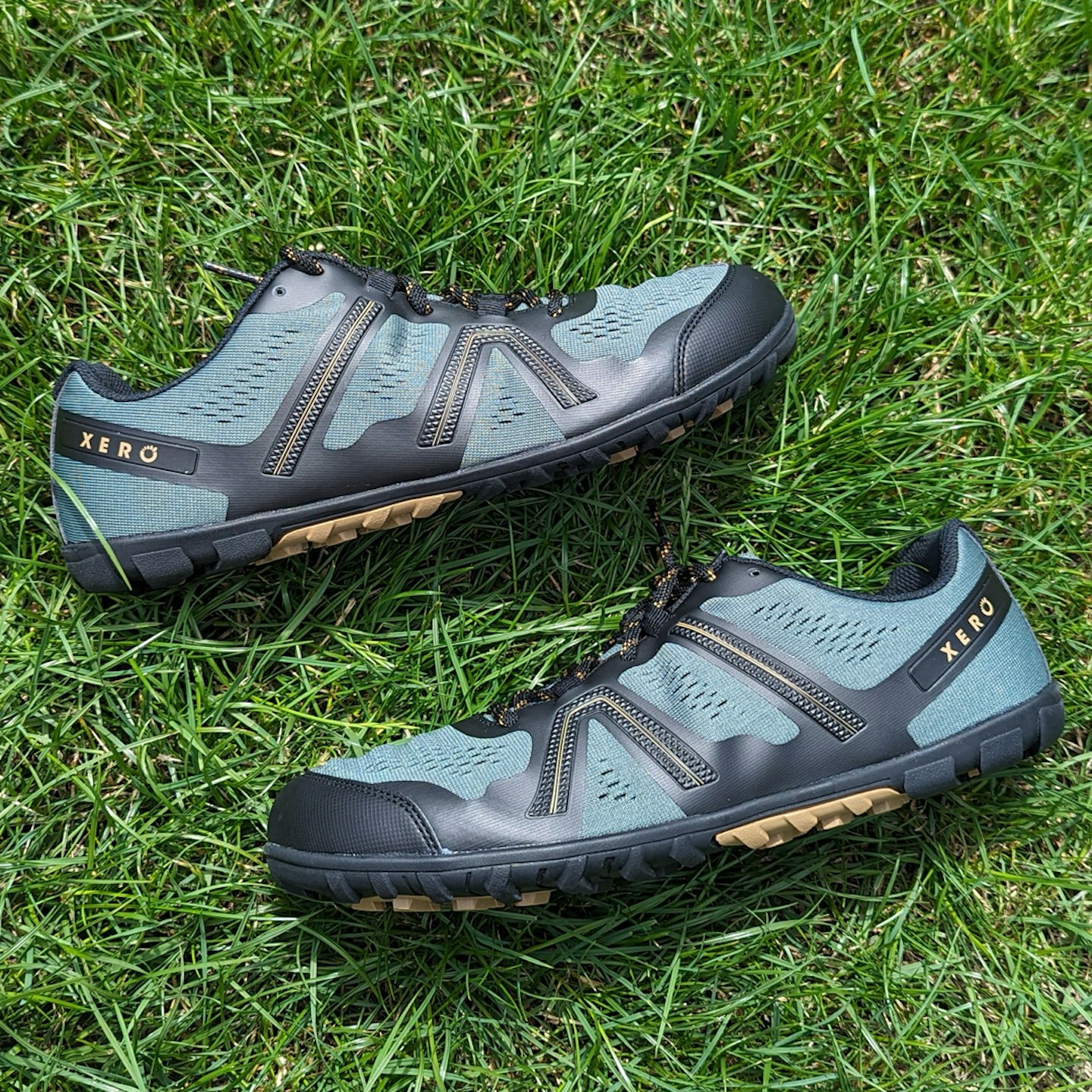Xero Mesa trail running shoes side profile on grass