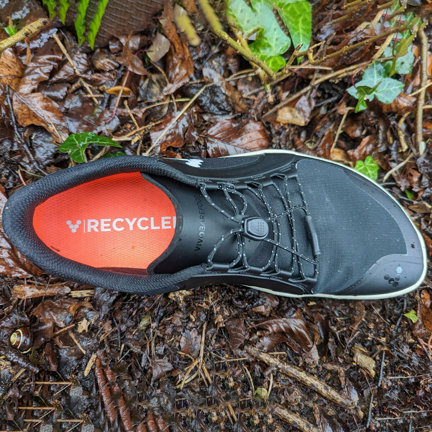 insole in the Vivobarefoot Primus Trail III All Weather minimalist trailrunning shoes
