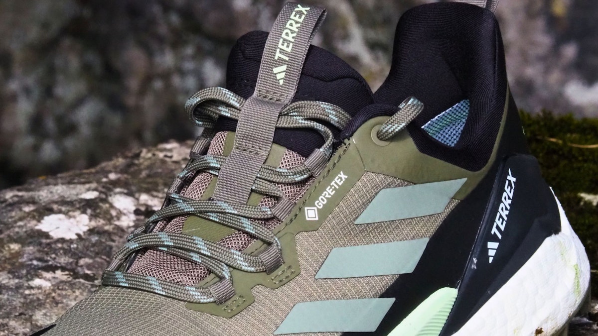 terrex free hiker gtx cold rdy