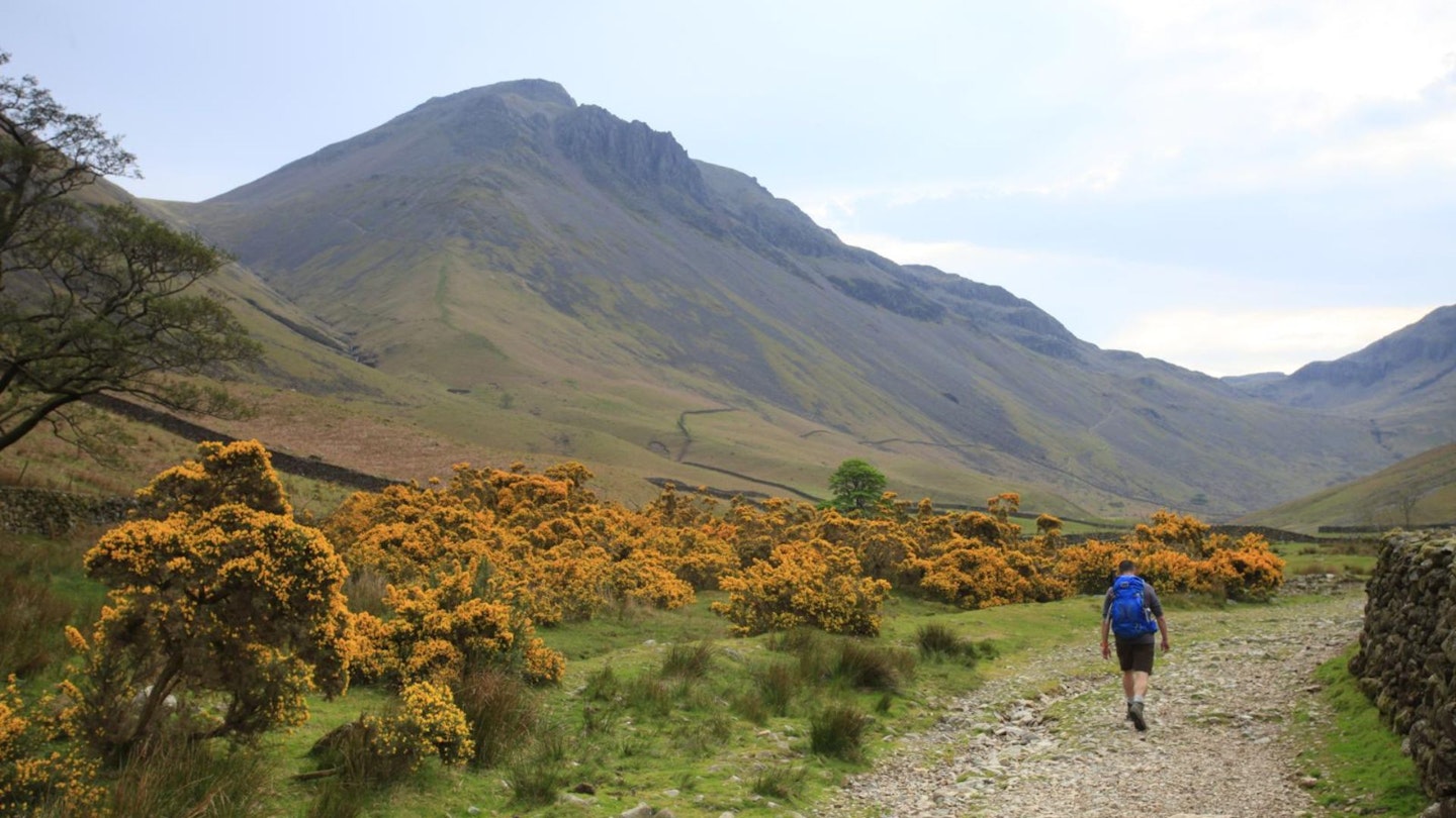 Heading towards Great Gable and Sty Head pass from Wasdale Head on the Scafell Pike Ciorridor Route hike Lake District