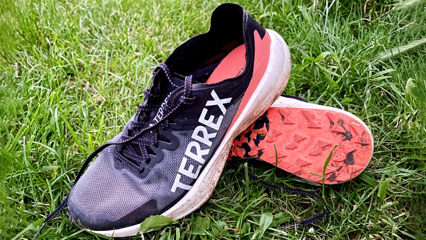 Adidas Terrex Agravic Speed trail running shoes on grass