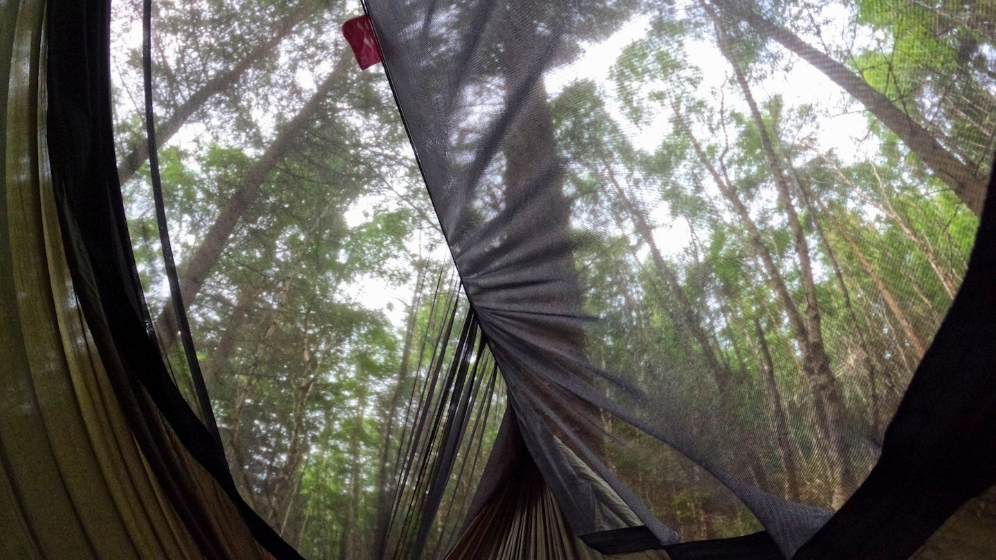 View from inside Ticket To The Moon Pro Mat Hammock