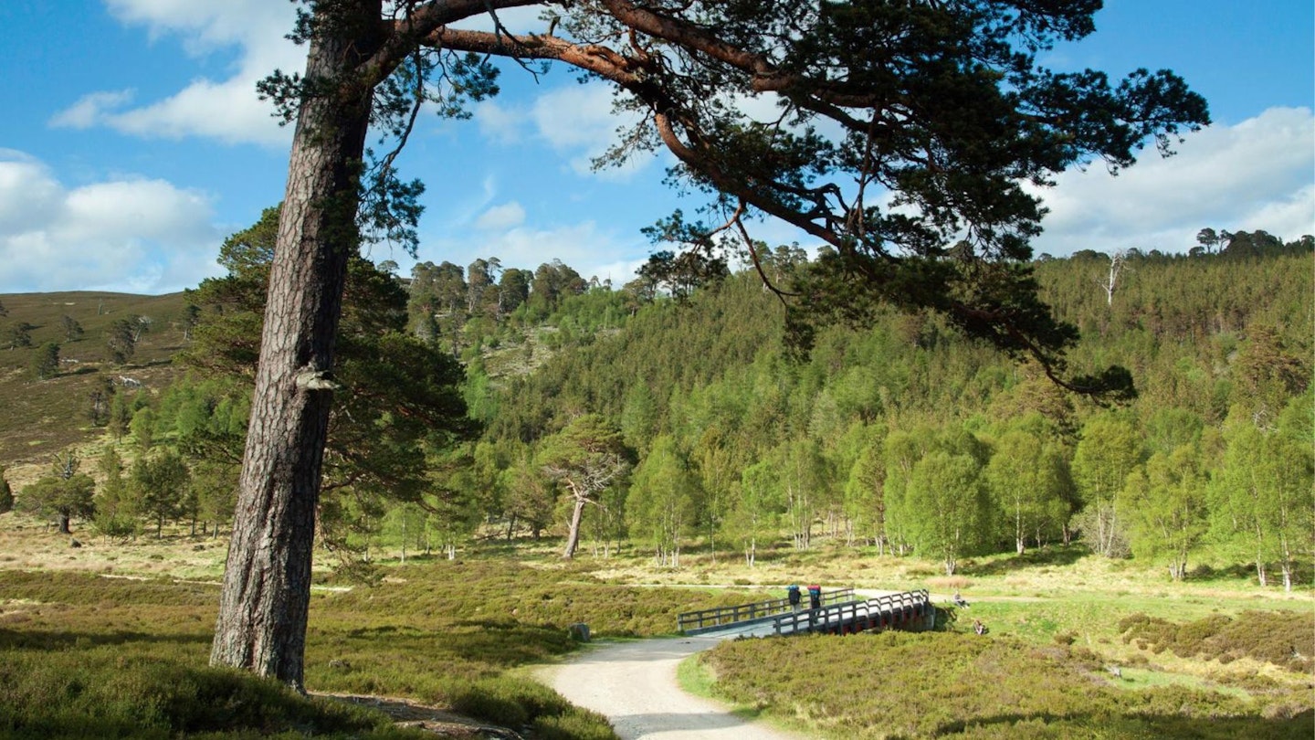 Linn of Dee