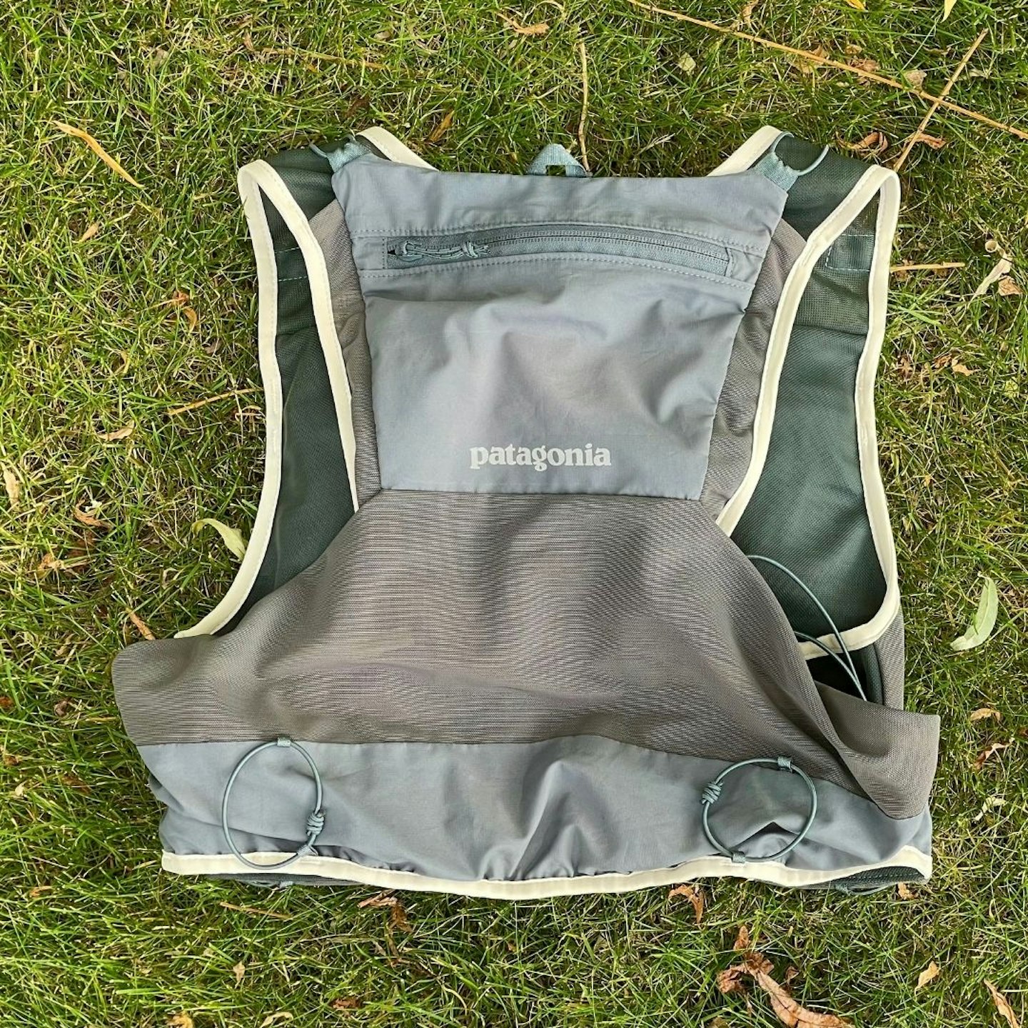 SC patagonia back view vest