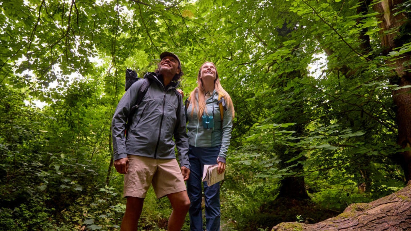 Hikers in forest