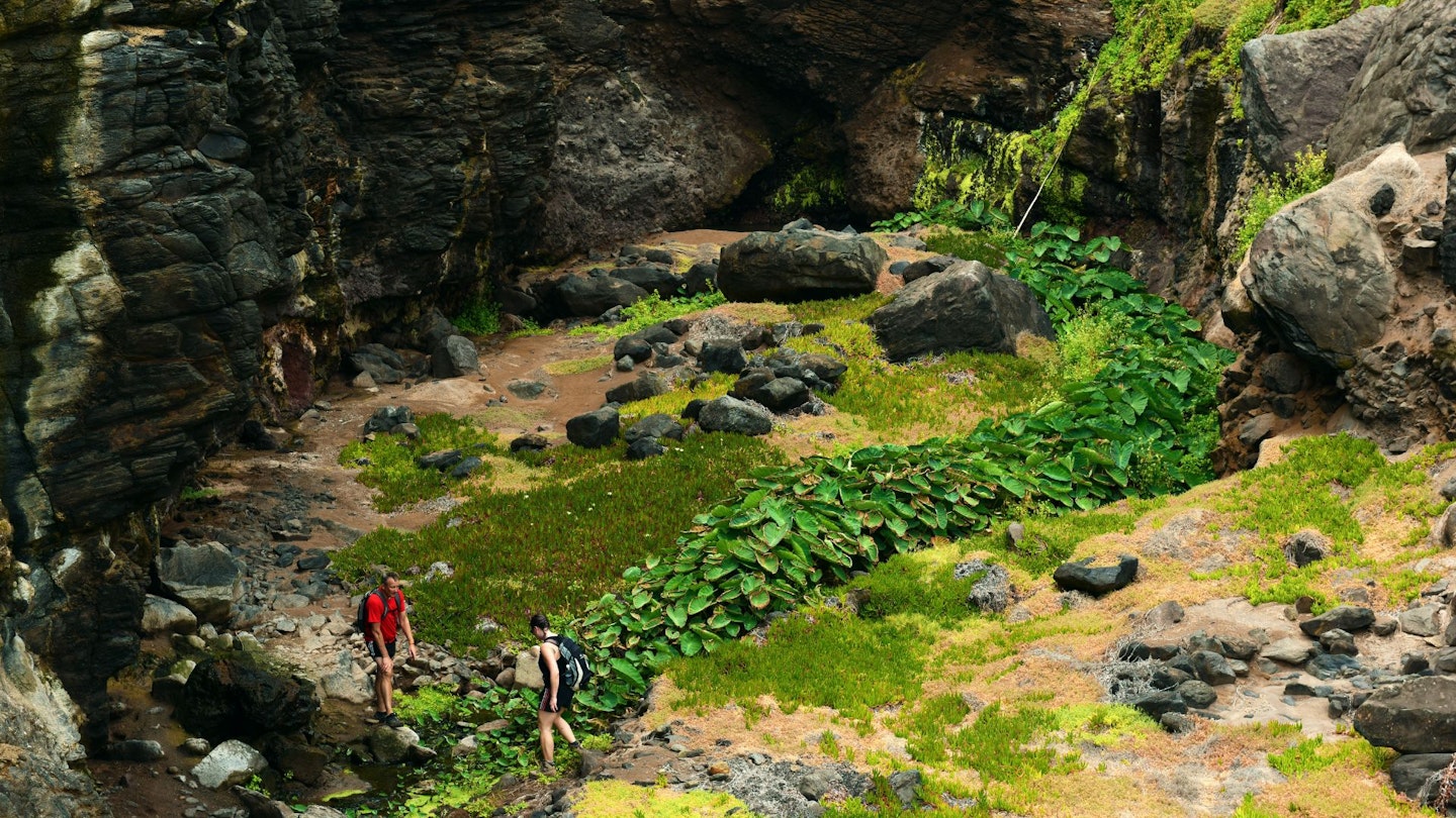 Sharks Valley St Helena Ed Thorpe