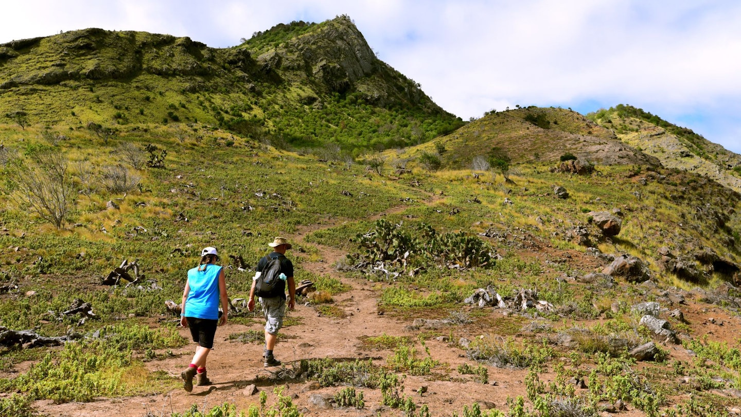 Thompson Valley St Helena Ed Thorpe