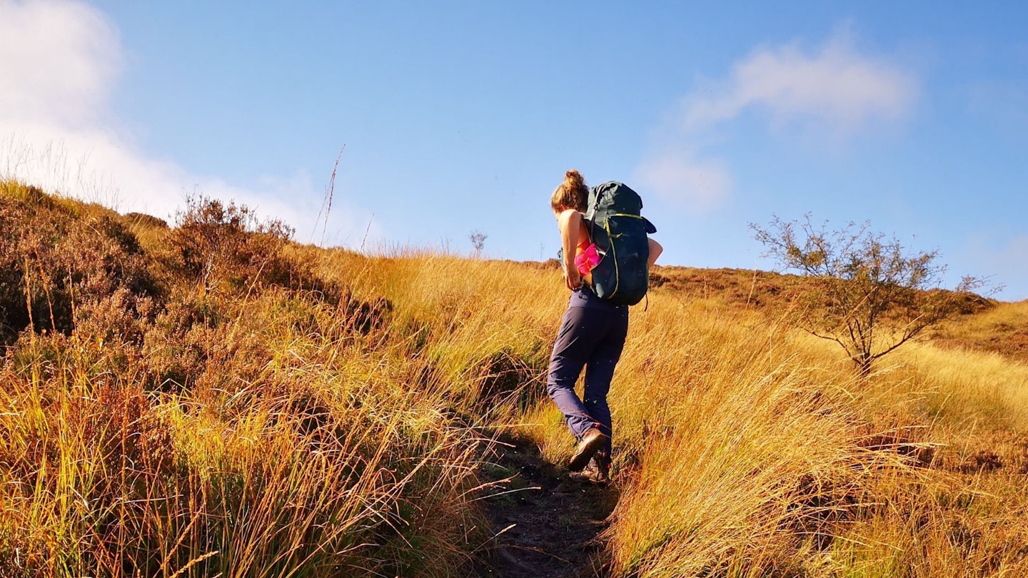 Feature image for best women's walking trousers uphill