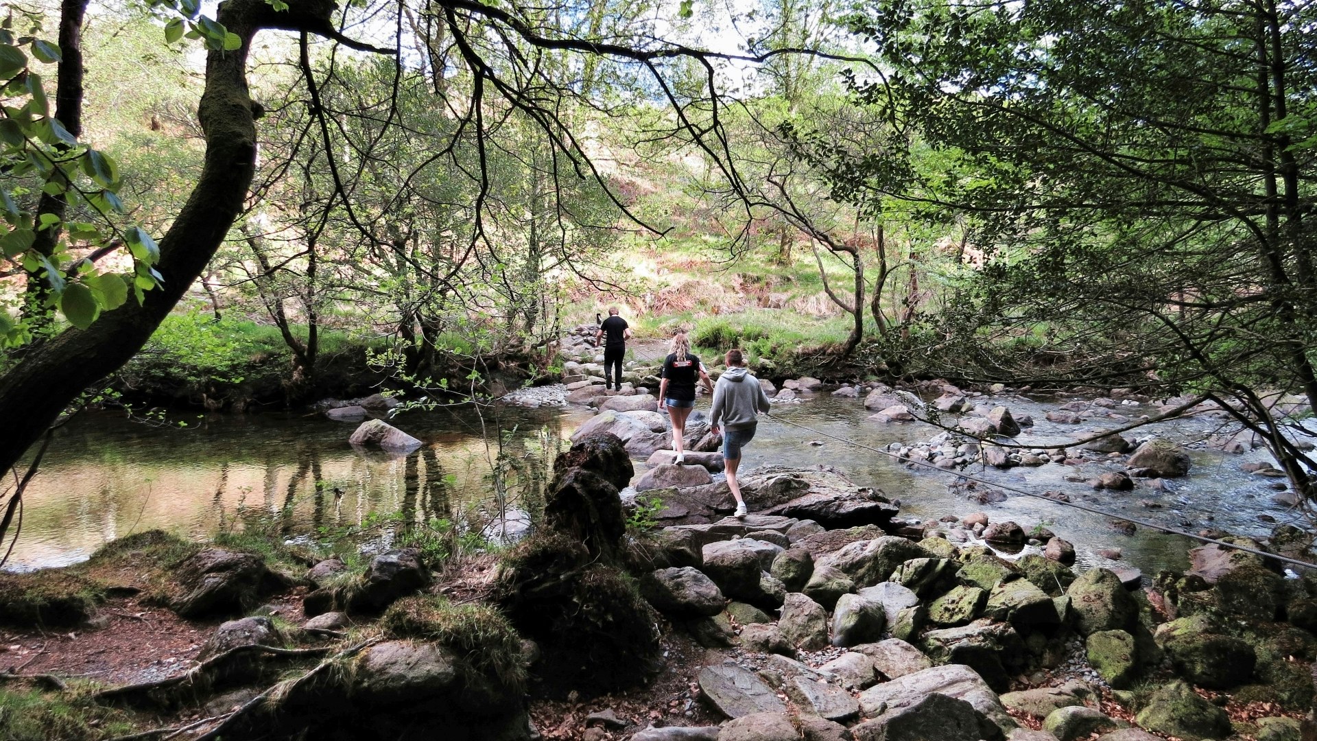 Harter Fell & Wallowbarrow Gorge