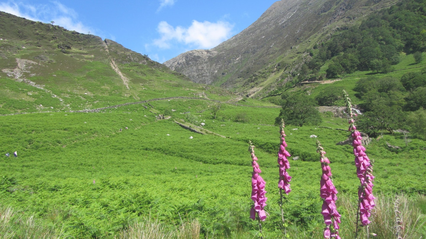 Southern Snowdon