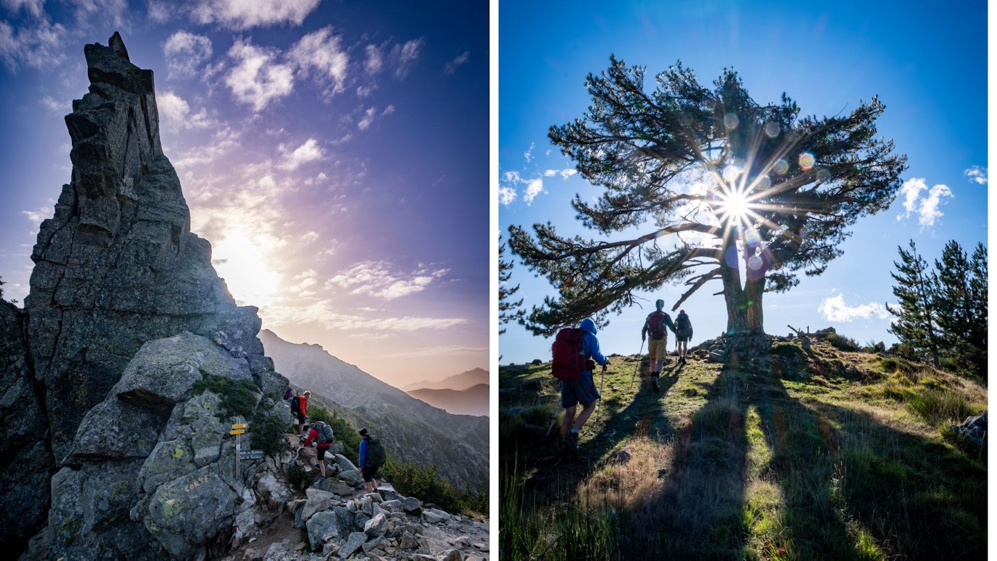 Summits and trees on the GR20 trail