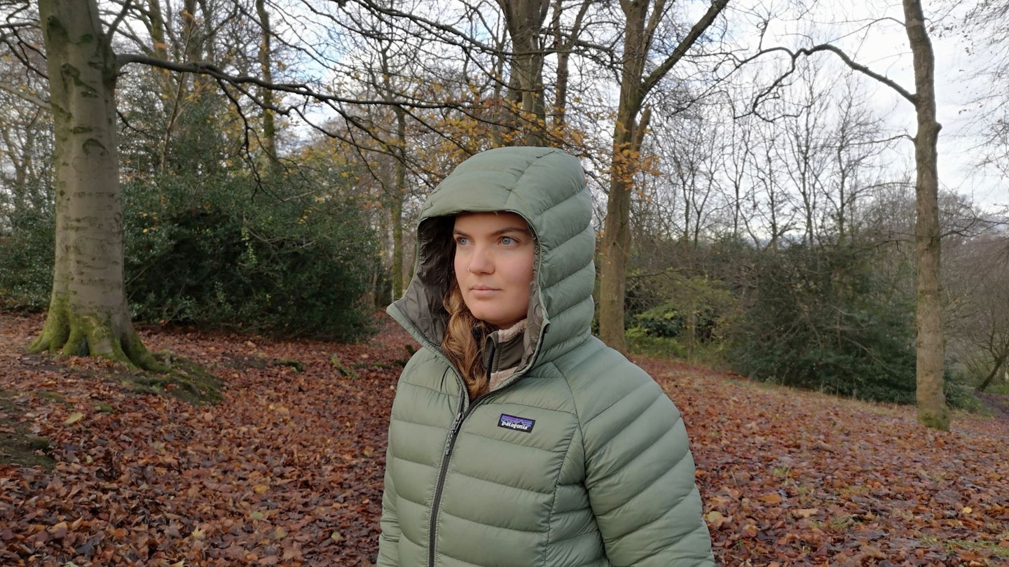 Patagonia Womens Down Sweater Hooded Jacket hood