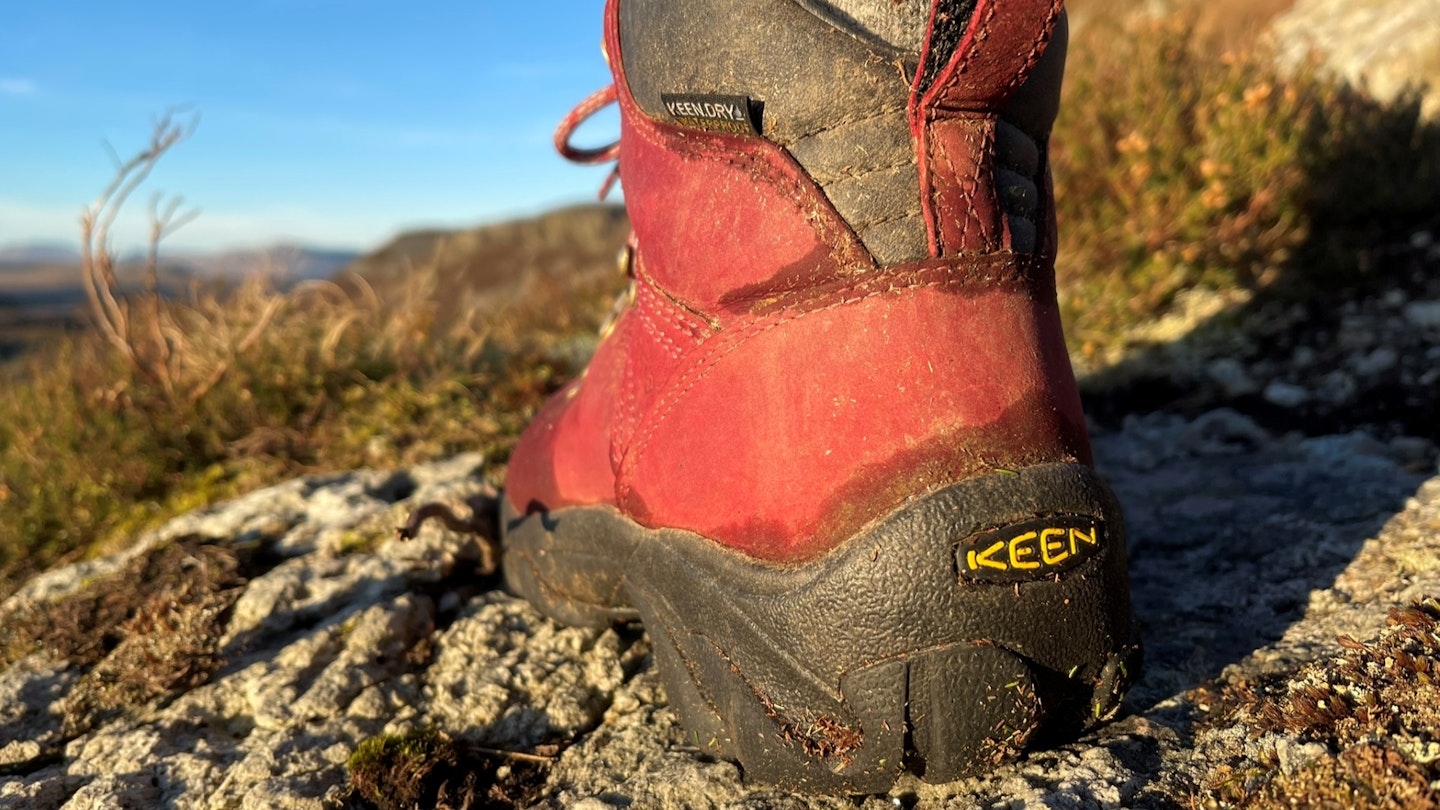 KEEN Pyrenees WP boot